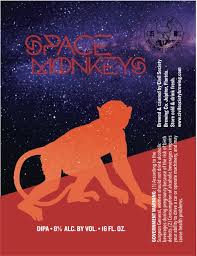 Civil Society Space Monkeys