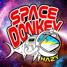 Tampa Bay Space Donkey