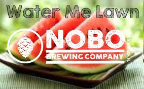 Nobo Brewing Water Me Lawn Blonde